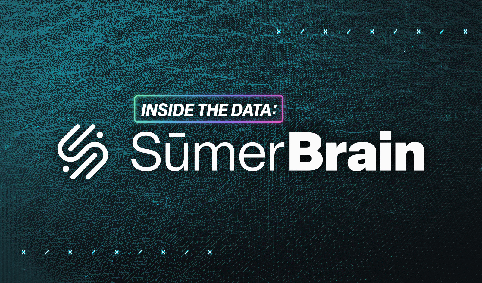 sumerbrain - inside